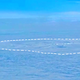 Imagen para el artículo titulado Estudian la causa de una rara marca circular de 2 km en el hielo polar